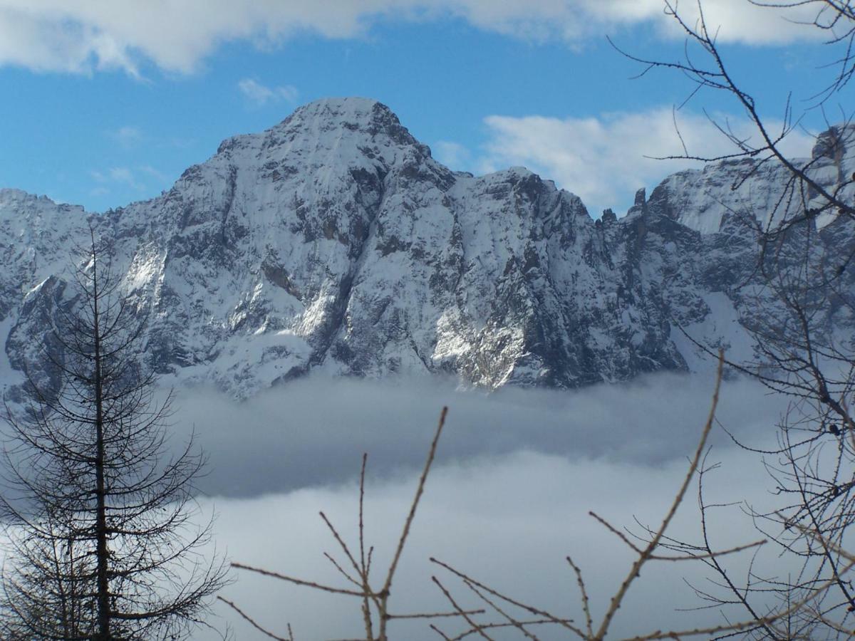 Balcone Sulle Dolomiti Apartment โคเมลิโค ซุปเปริออเร ภายนอก รูปภาพ