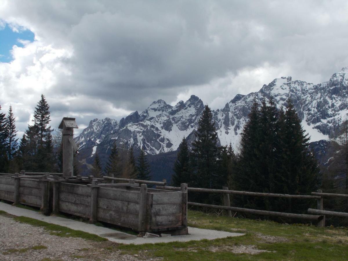 Balcone Sulle Dolomiti Apartment โคเมลิโค ซุปเปริออเร ภายนอก รูปภาพ