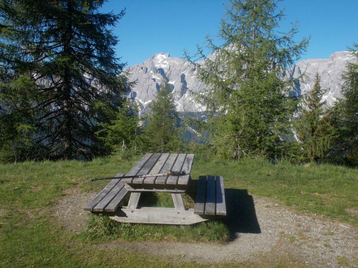 Balcone Sulle Dolomiti Apartment โคเมลิโค ซุปเปริออเร ภายนอก รูปภาพ